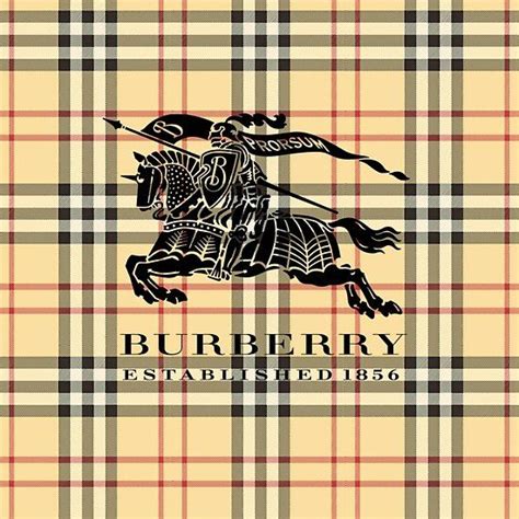 burberry tshirt vnceck mens|Burberry Limited.